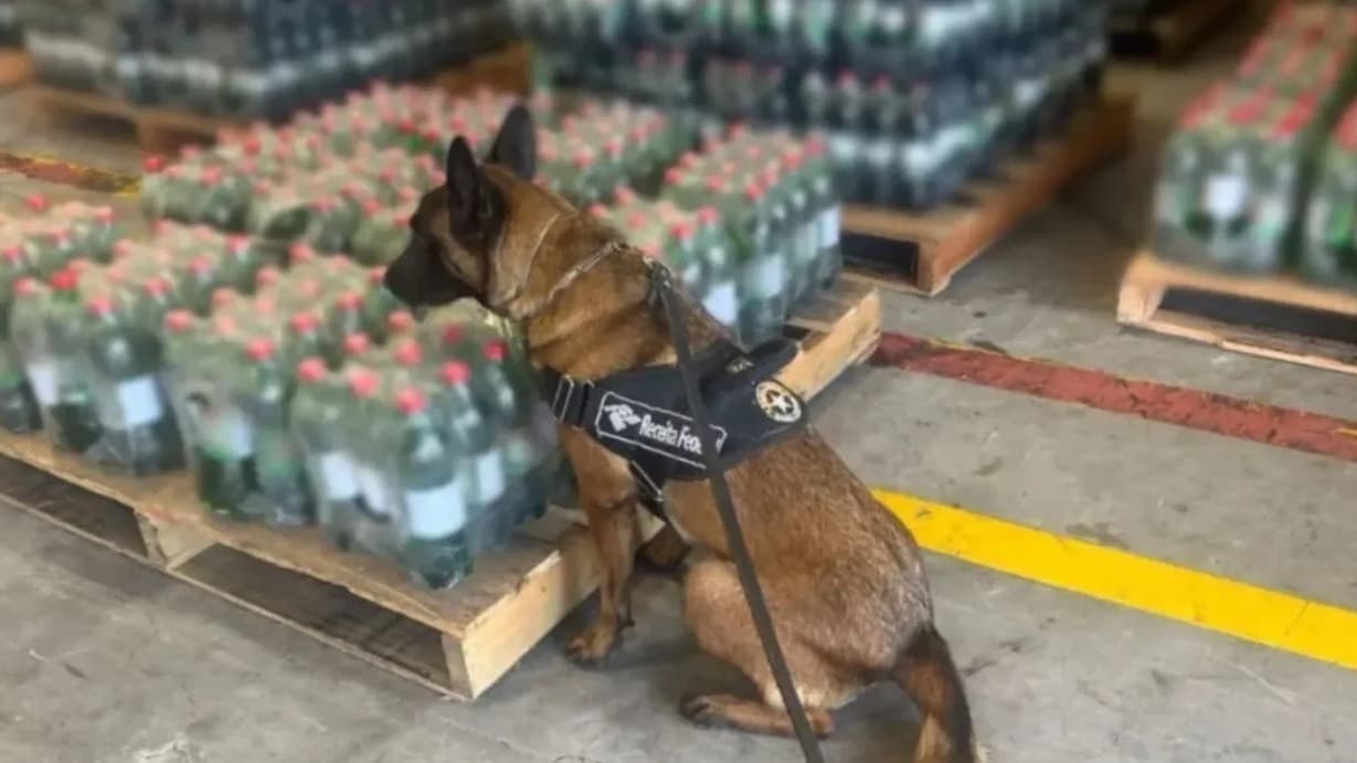 Mais de 300 garrafas de refrigerante com cocaína diluída são apreendidas em porto de SC