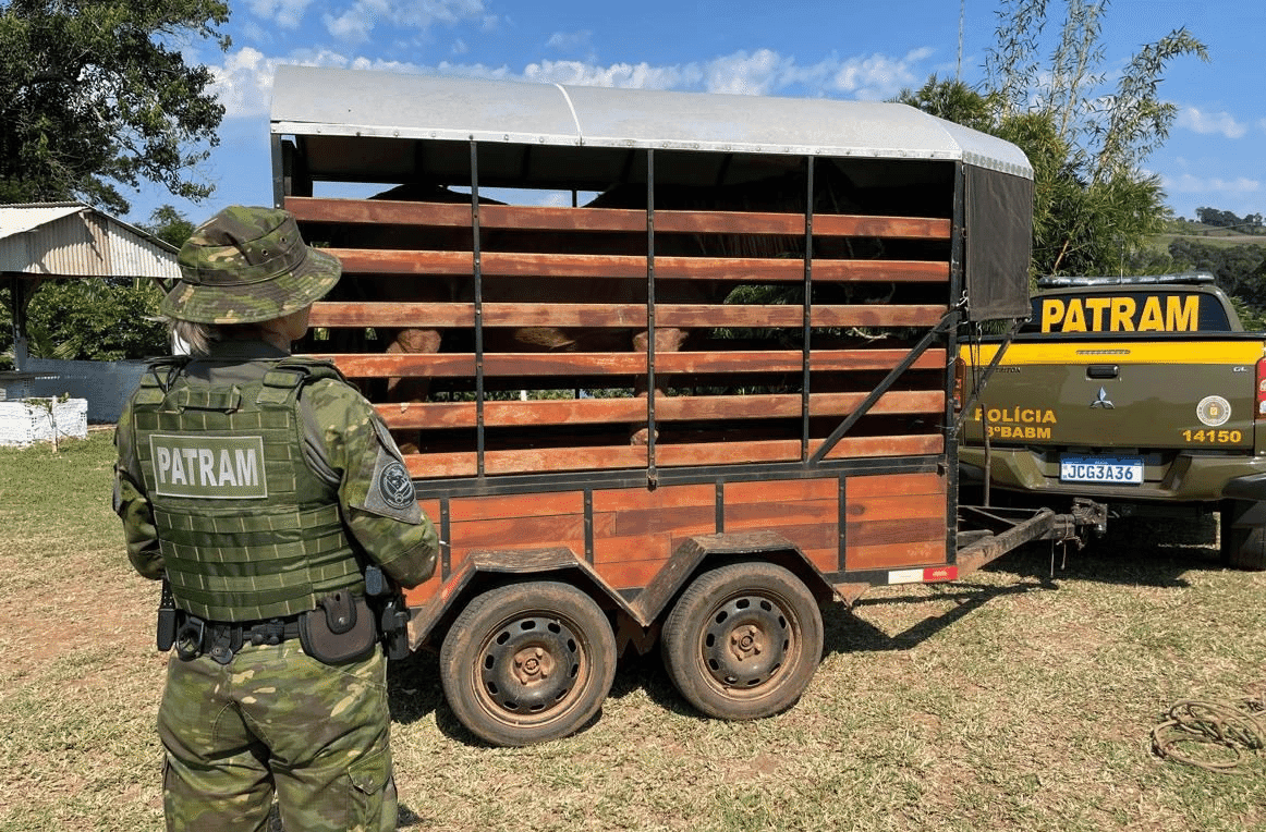 Batalhão Ambiental realiza Operação Força Verde no combate a maus-tratos a animais
