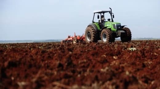 Calor extremo e falta de chuva regular travam o plantio de soja e milho e acendem alerta no RS 