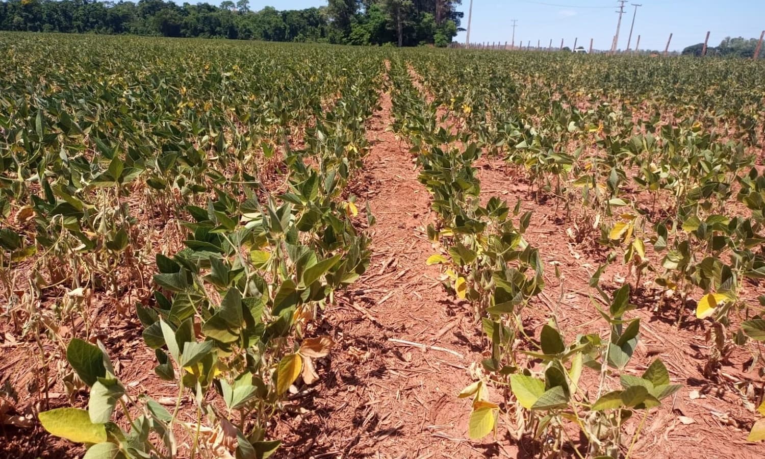  CMN aprova pacote de medidas que amplia o apoio financeiro a produtores rurais