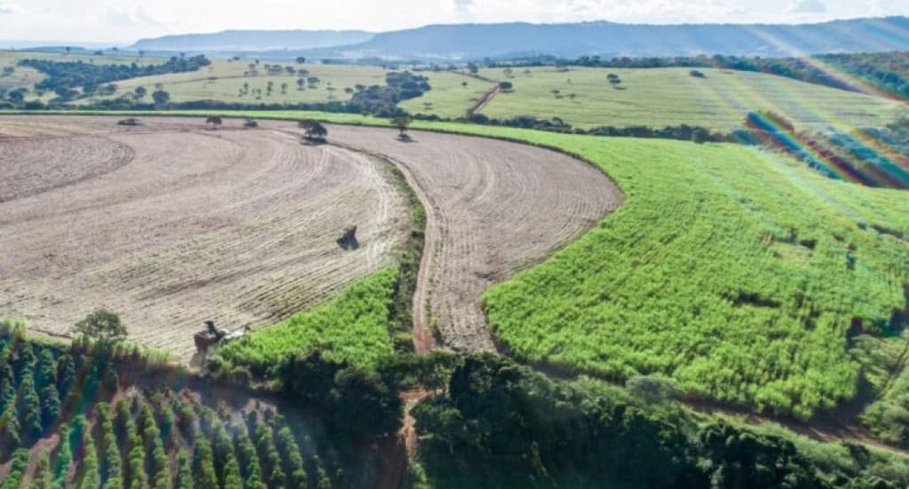 Nova Lei do Licenciamento Ambiental entra em vigor e altera regras para produtores 