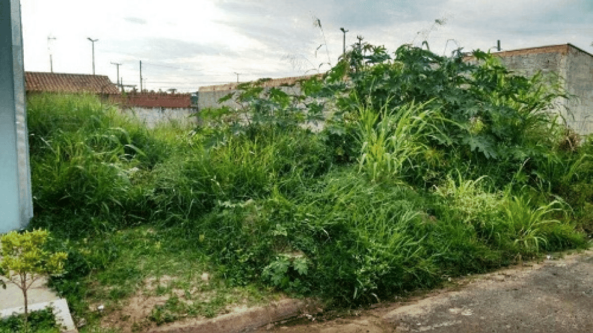 Seberi intensifica fiscalização e notificação de terrenos urbanos em situação de abandono